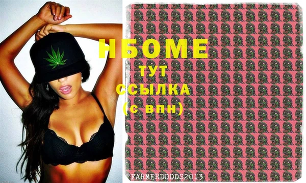 прущие грибы Тихорецк
