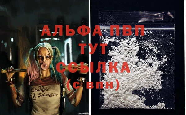 jwh Тобольск
