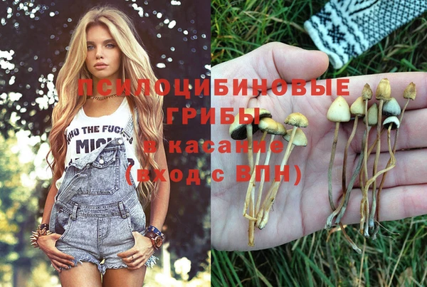 кокс Тында