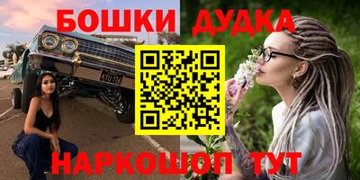 гашик Будённовск