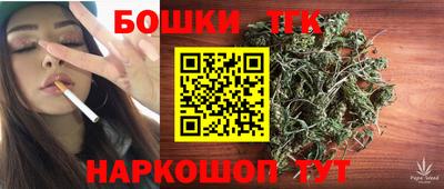 гашик Будённовск