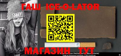 гашик Будённовск