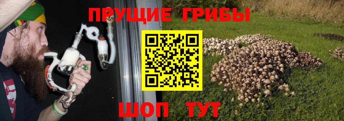 Псилоцибиновые грибы MAGIC MUSHROOMS  Псилоцибиновые грибы прущие грибы  Вход с VPN  Дзержинск 